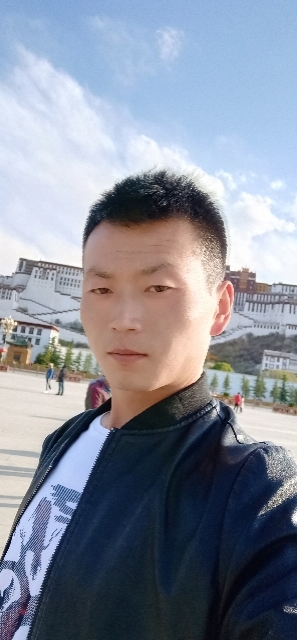 阳光下的小草的第一张照片--甘肃闪婚服务中心